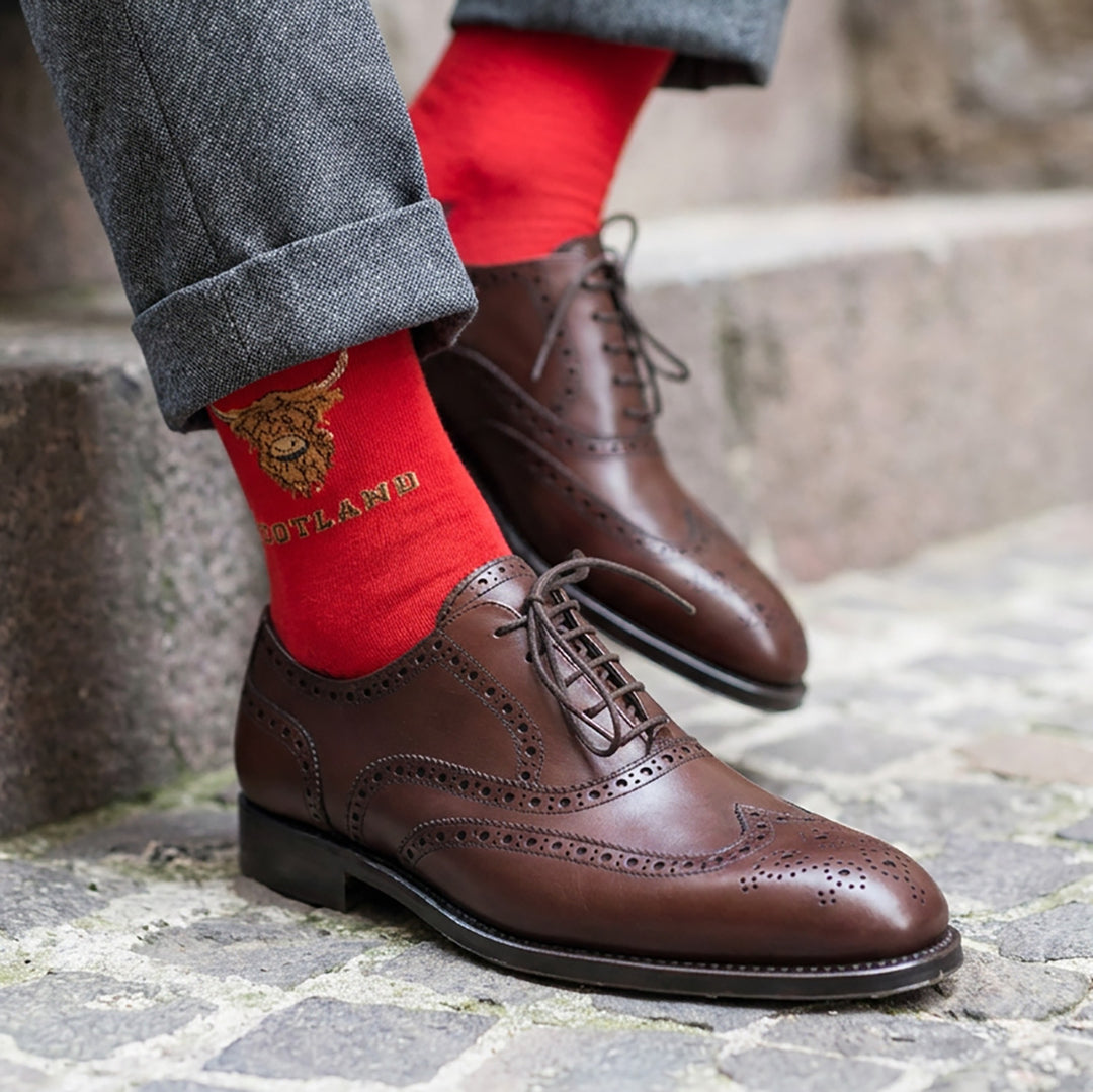 Men’s Luxury Bamboo Socks – Soft, Breathable &amp; Stylish Everyday Comfort - HIGHLAND COW HEAD SCOTLAND RED