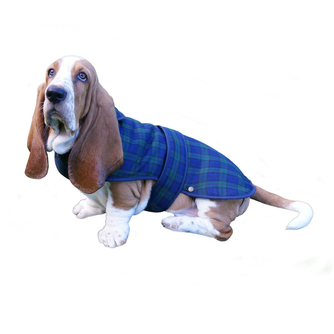 Dog Coat Tartan Sr - Size L - Dunedin Cashmere