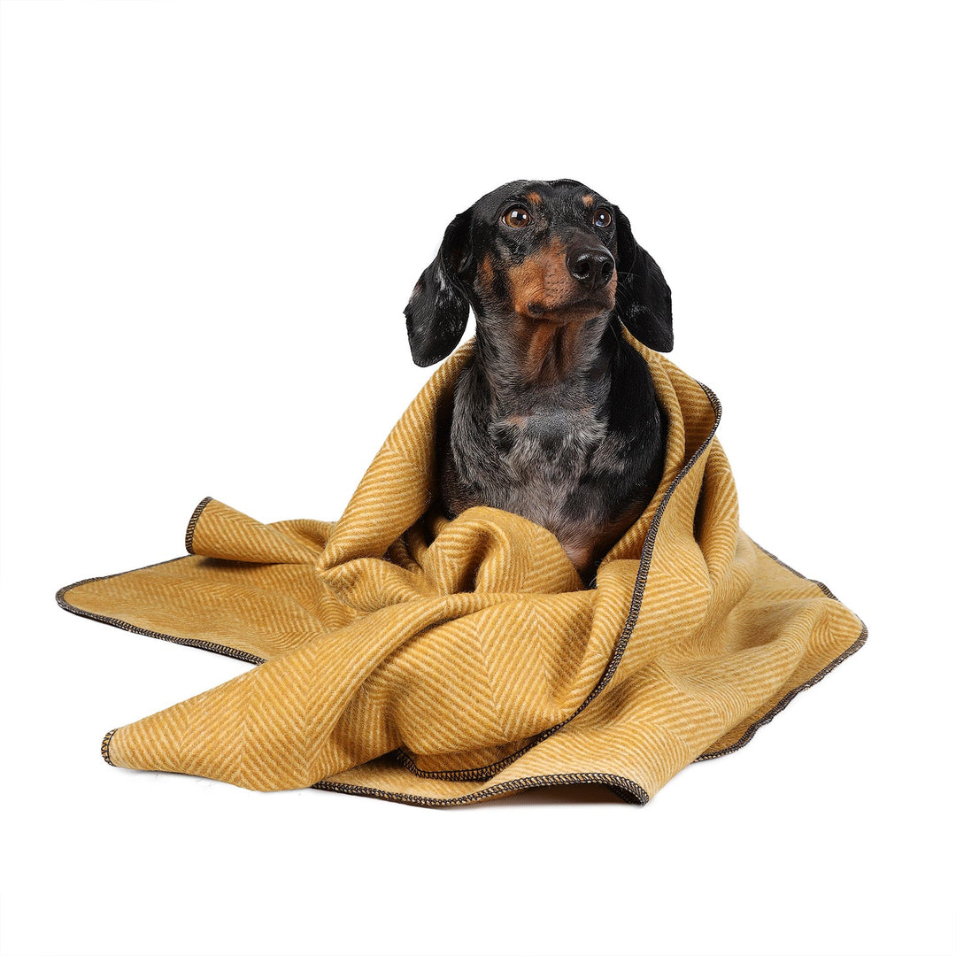 Herringbone Pet Blanket Mustard - Dunedin Cashmere